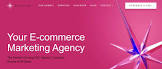 ecommerce advertising agency