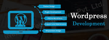 wordpress website development