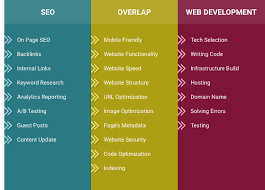 seo and web development