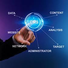 cms website development