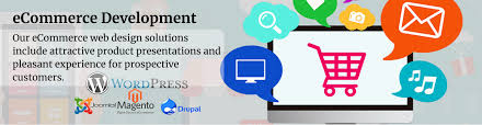 ecommerce web development solutions