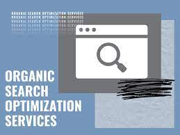 organic search engine optimization