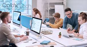 professional web development services