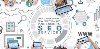 seo professional services
