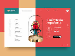 ui ux website