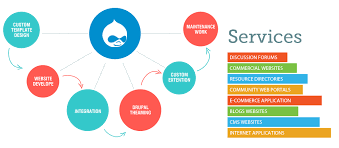 website development services company