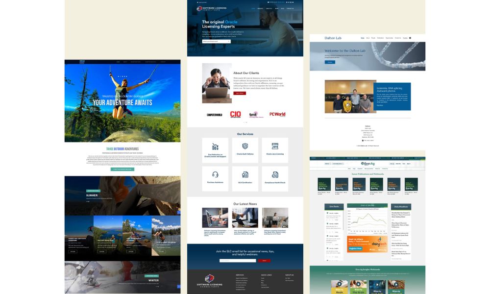 website builders near me
