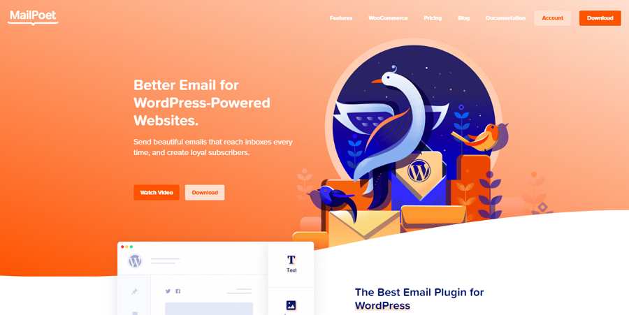 latest website design