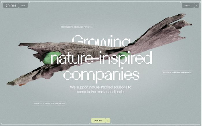 startup website design