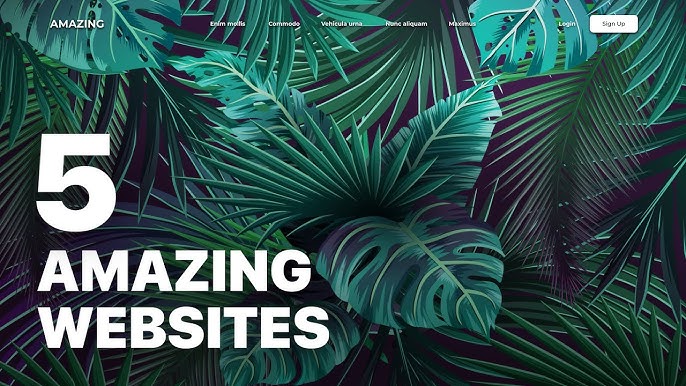 amazing website designs